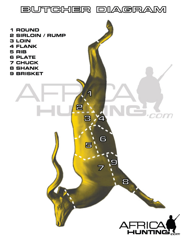 butcher-meat-diagram-2.jpg