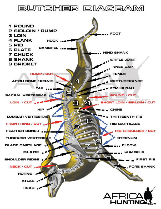 Butcher Diagrams | AfricaHunting.com