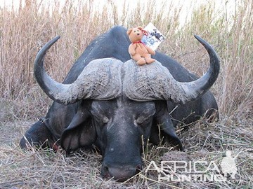 hunting-buffalo-03.jpg