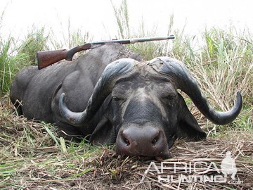 hunting-buffalo-04.jpg