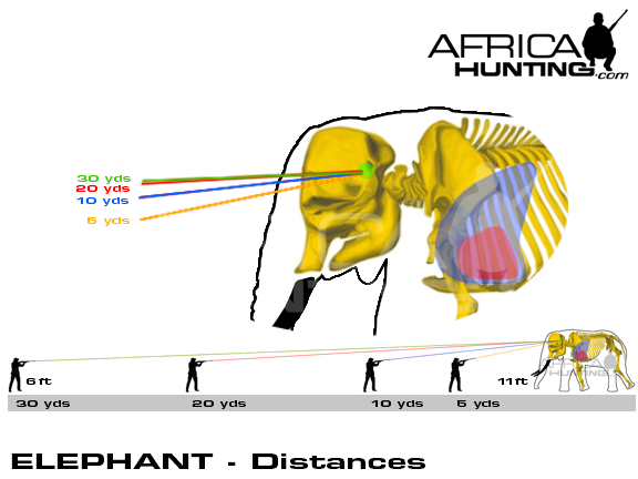 elephant_distances_1.jpg