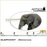 elephant_distances_2s.jpg
