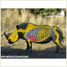 rhinoceros_shot_placement_s.jpg