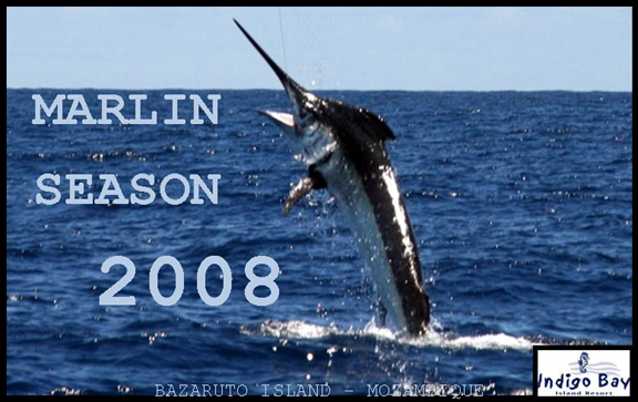 marlin-fishing-01.jpg