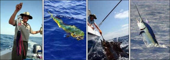 marlin-fishing-03.jpg