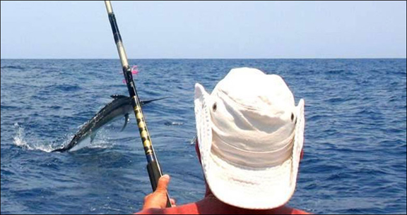 marlin-fishing-12.jpg