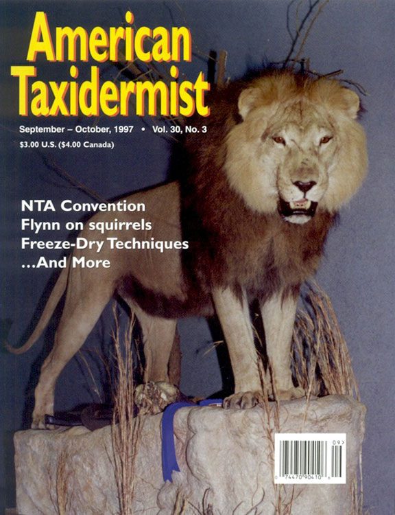 taxidermy-06.jpg