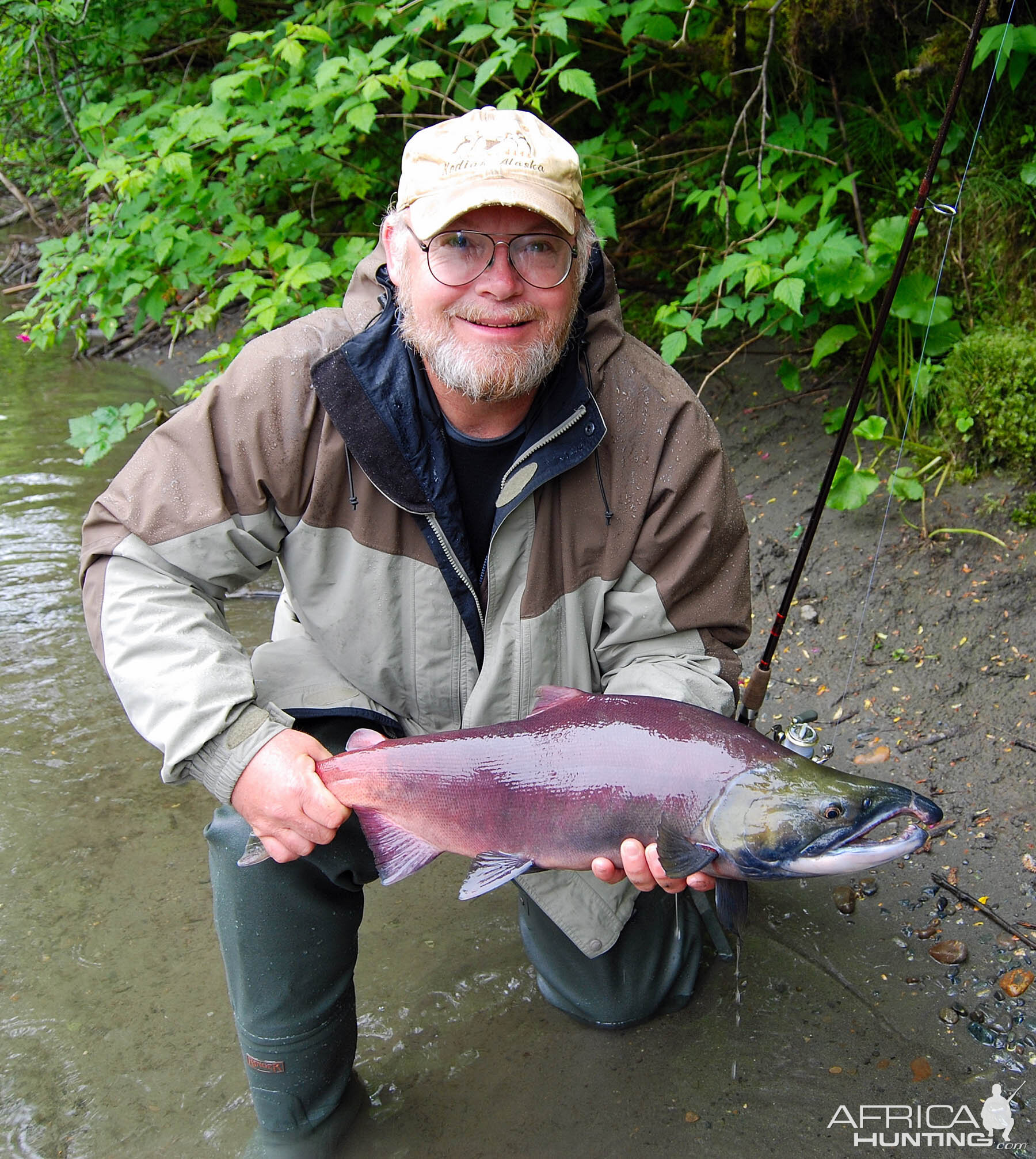 07 sockeye salmon