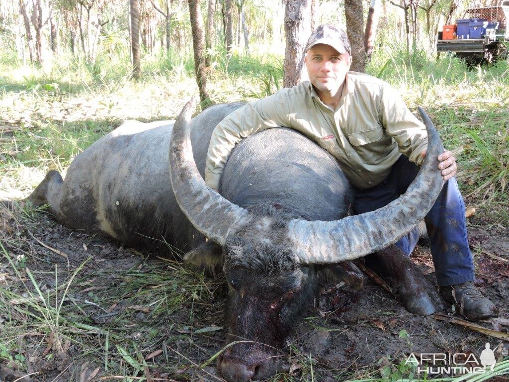 108" Inch Asiatic Water Buffalo Hunt Australia