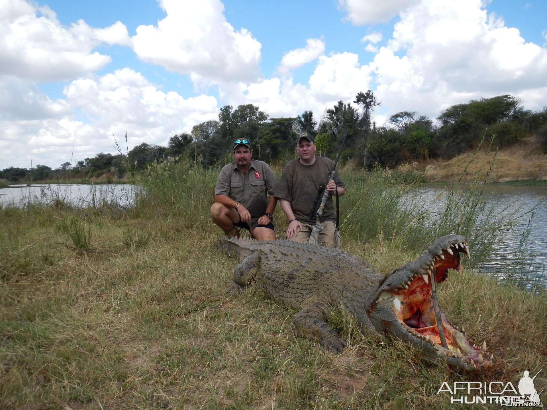 12 foot Crocodile