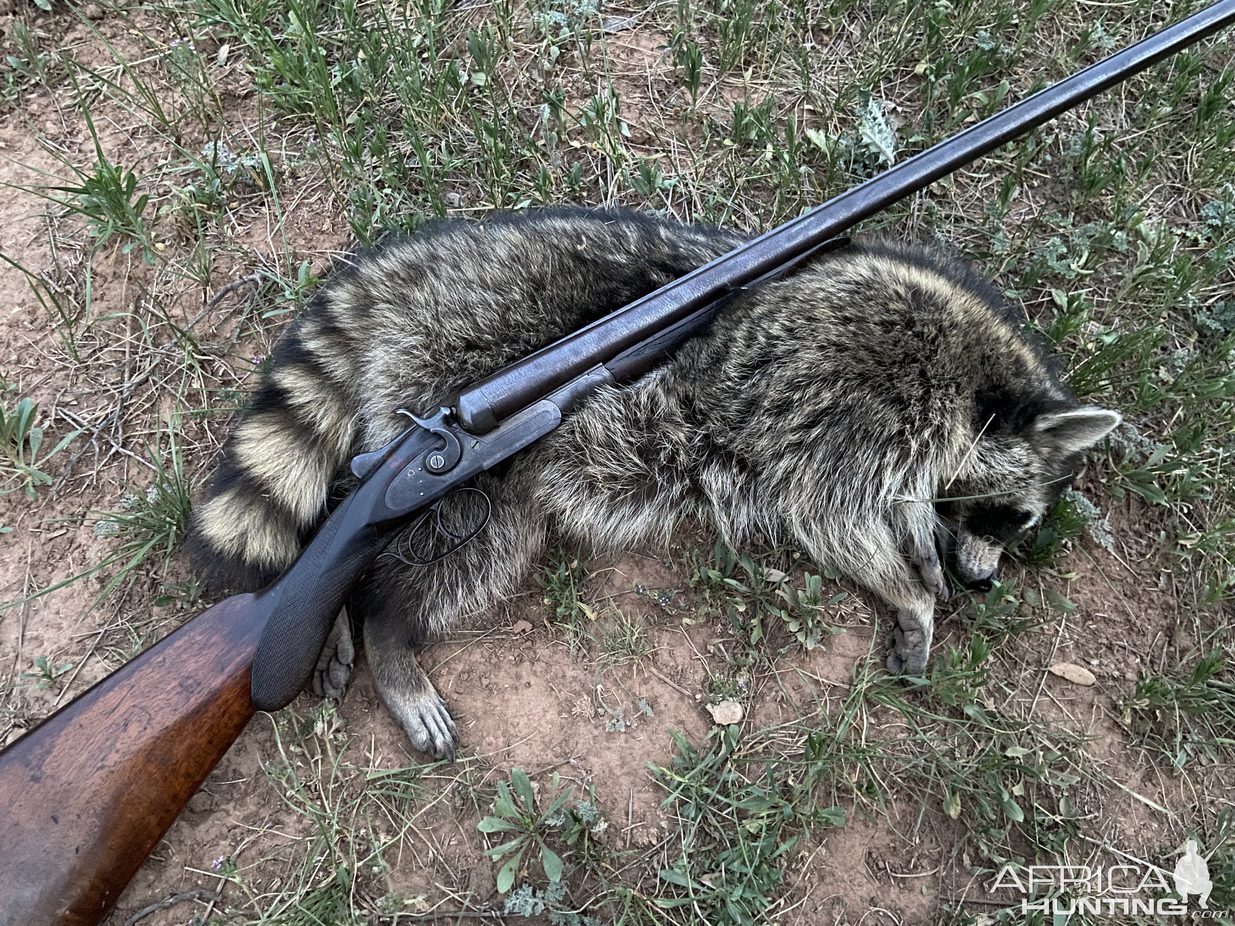 128 Year Old Hunting Rifle