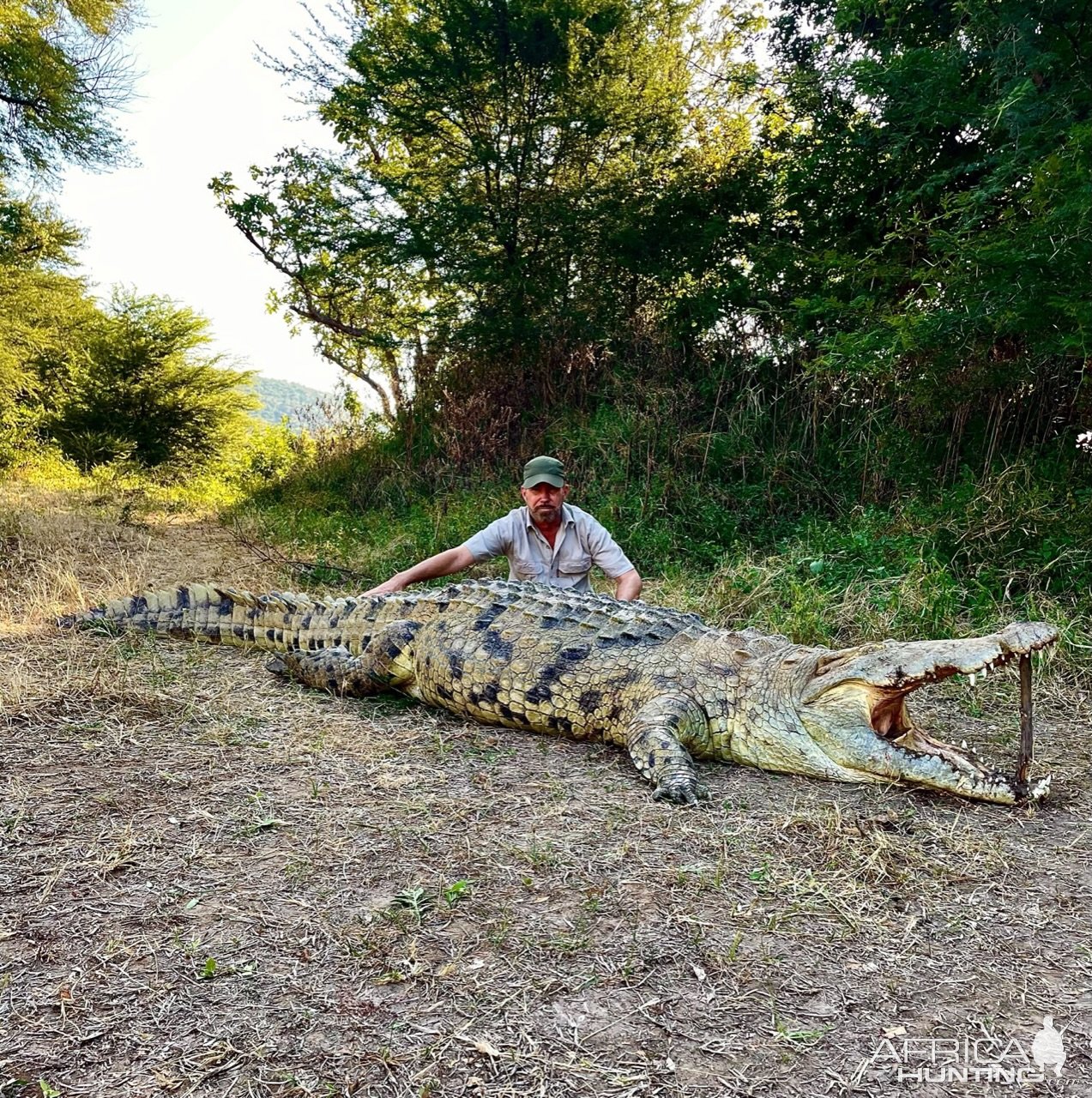 13,5 Foot Crocodile Hunting Luangwa River Zambia