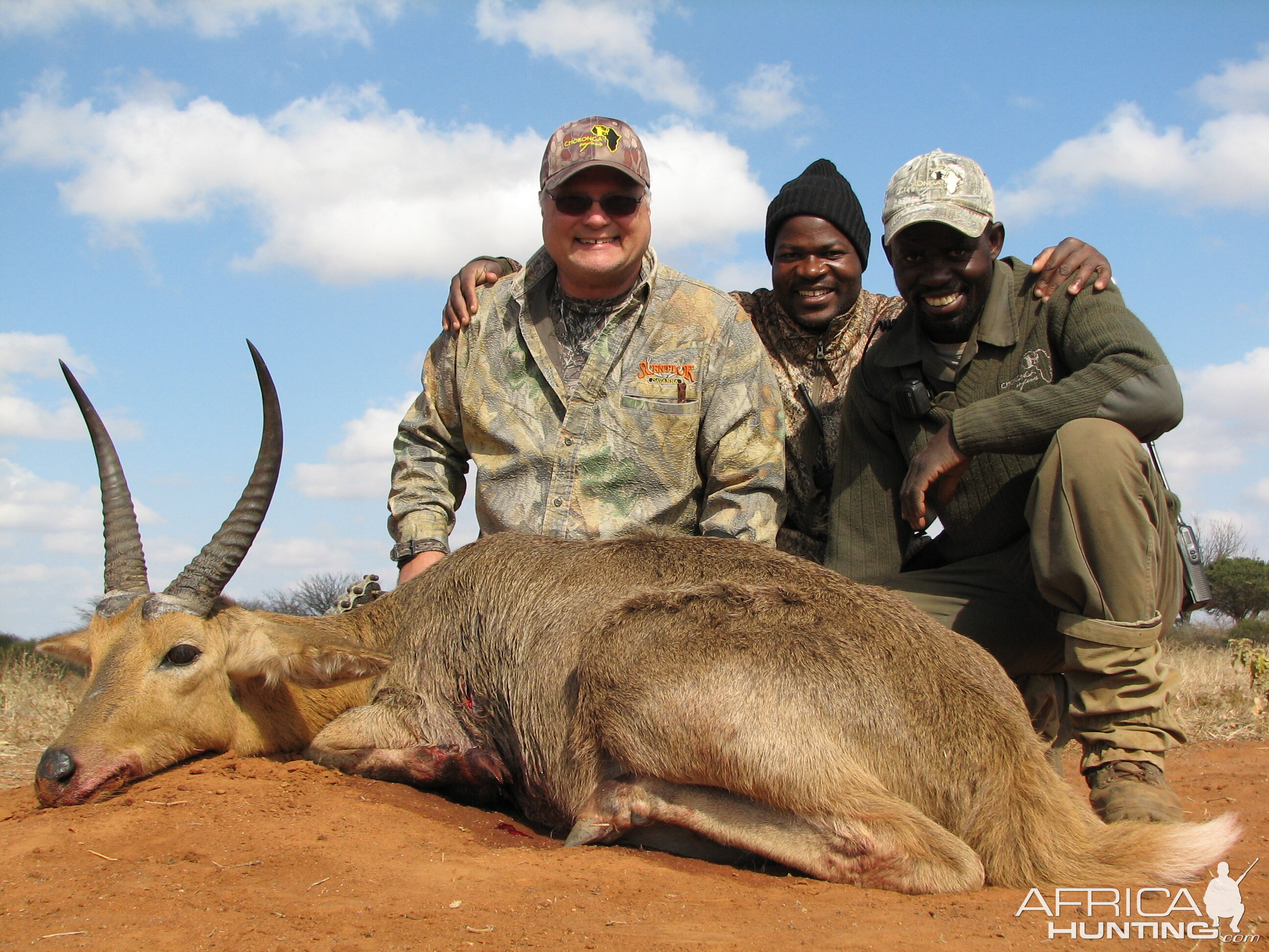 13", heavy based Common Reedbuck with Choronga Safaris