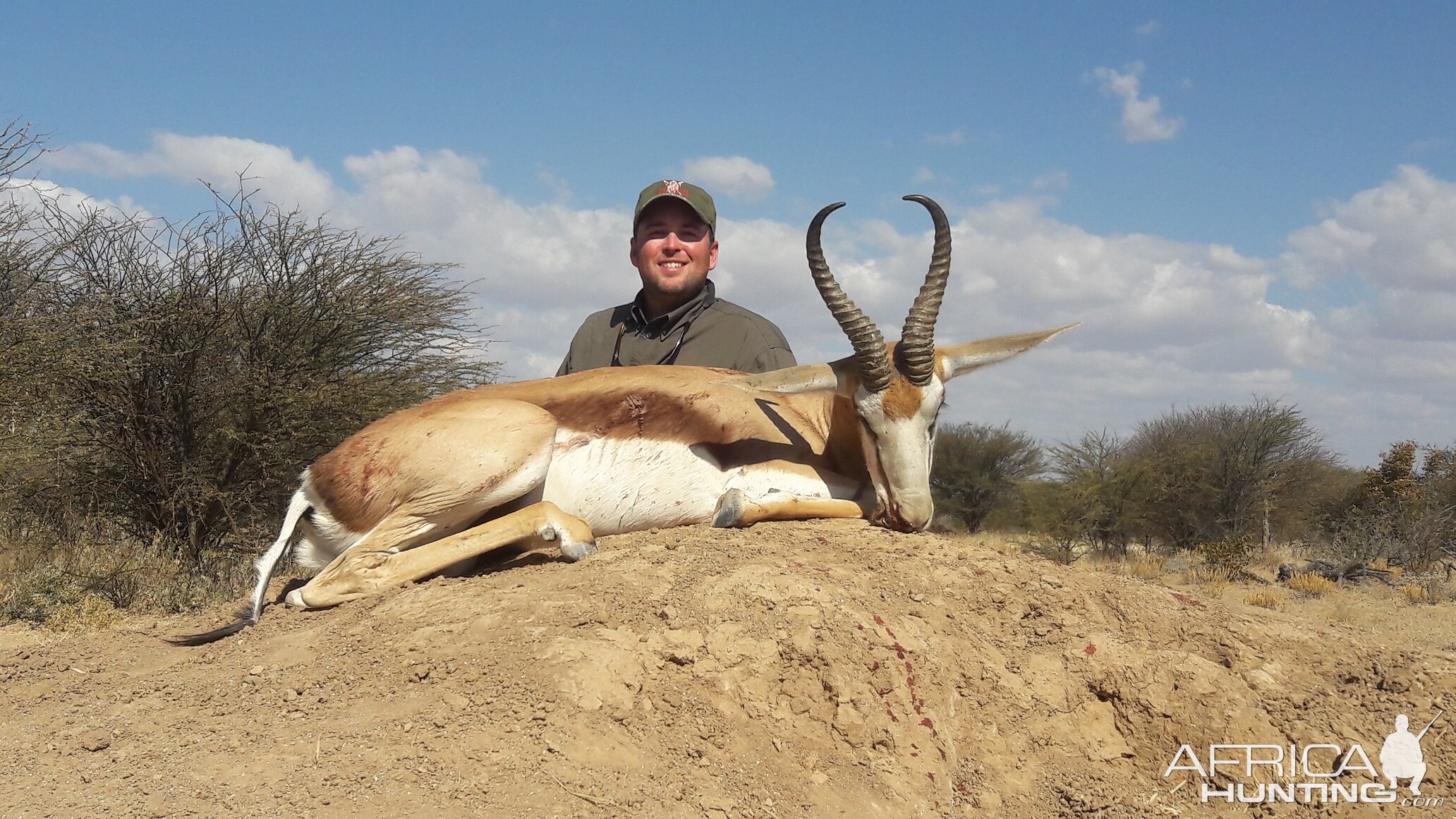 15 1/2 inch Springbok Namibia