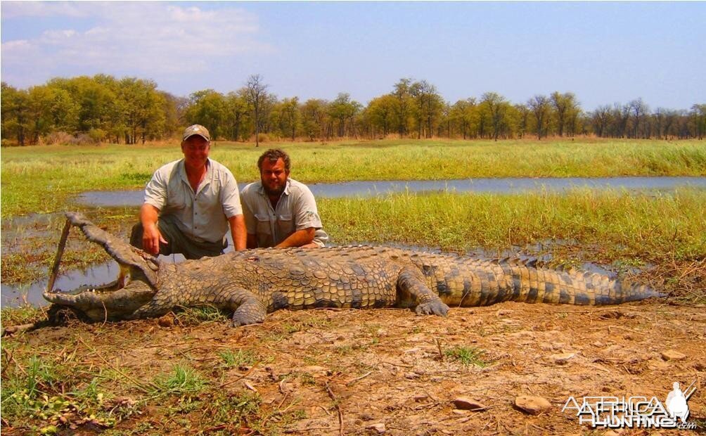 15.5 foot Crocodile hunted in Mozambique