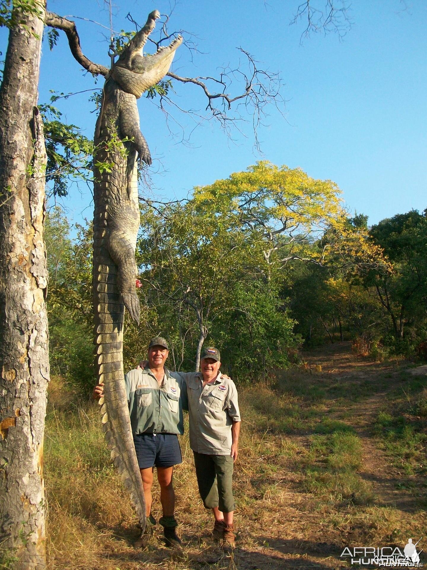 15.75 Ft Croc hunted with Nhenda Safaris Mozambique