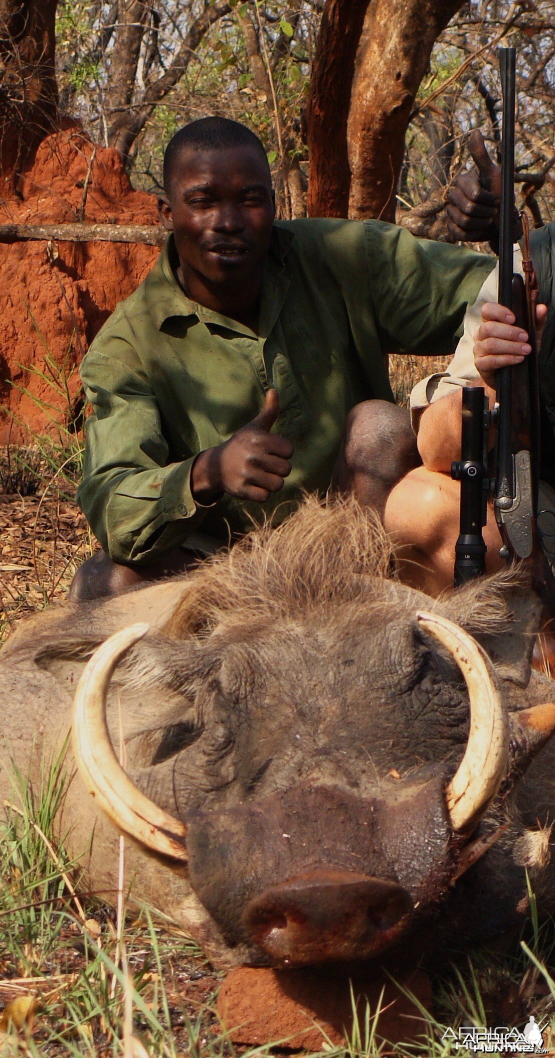 15,8 inch warthog taken march 2009