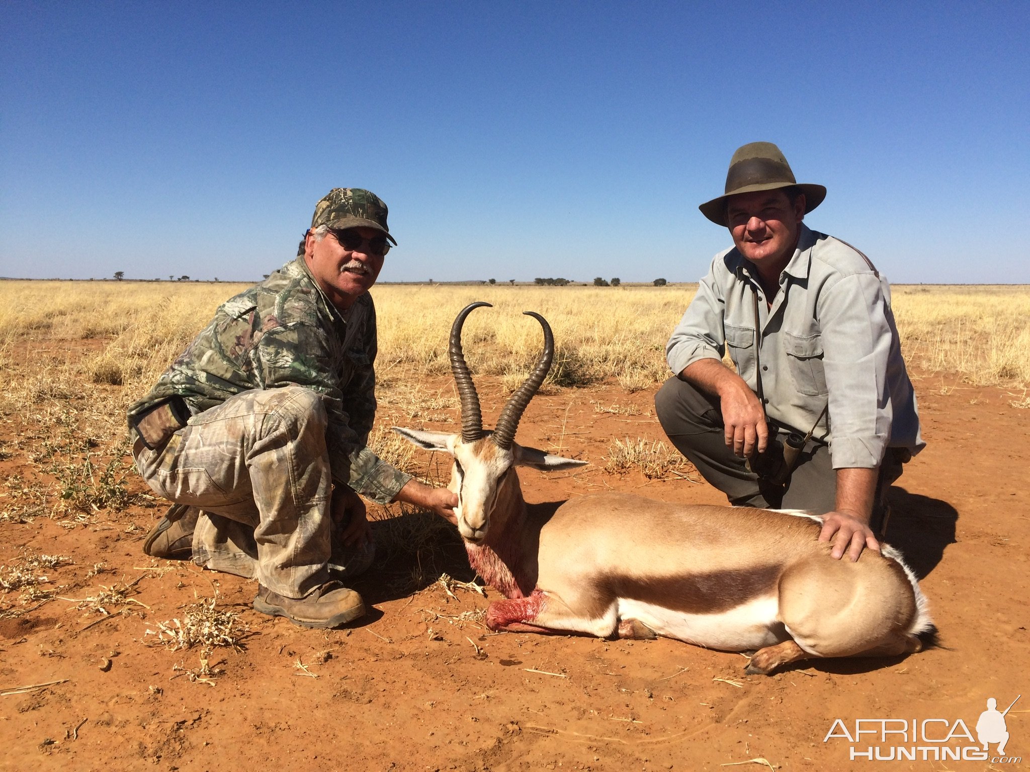 16.5 Inch Inch Springbok Hunt Namibia