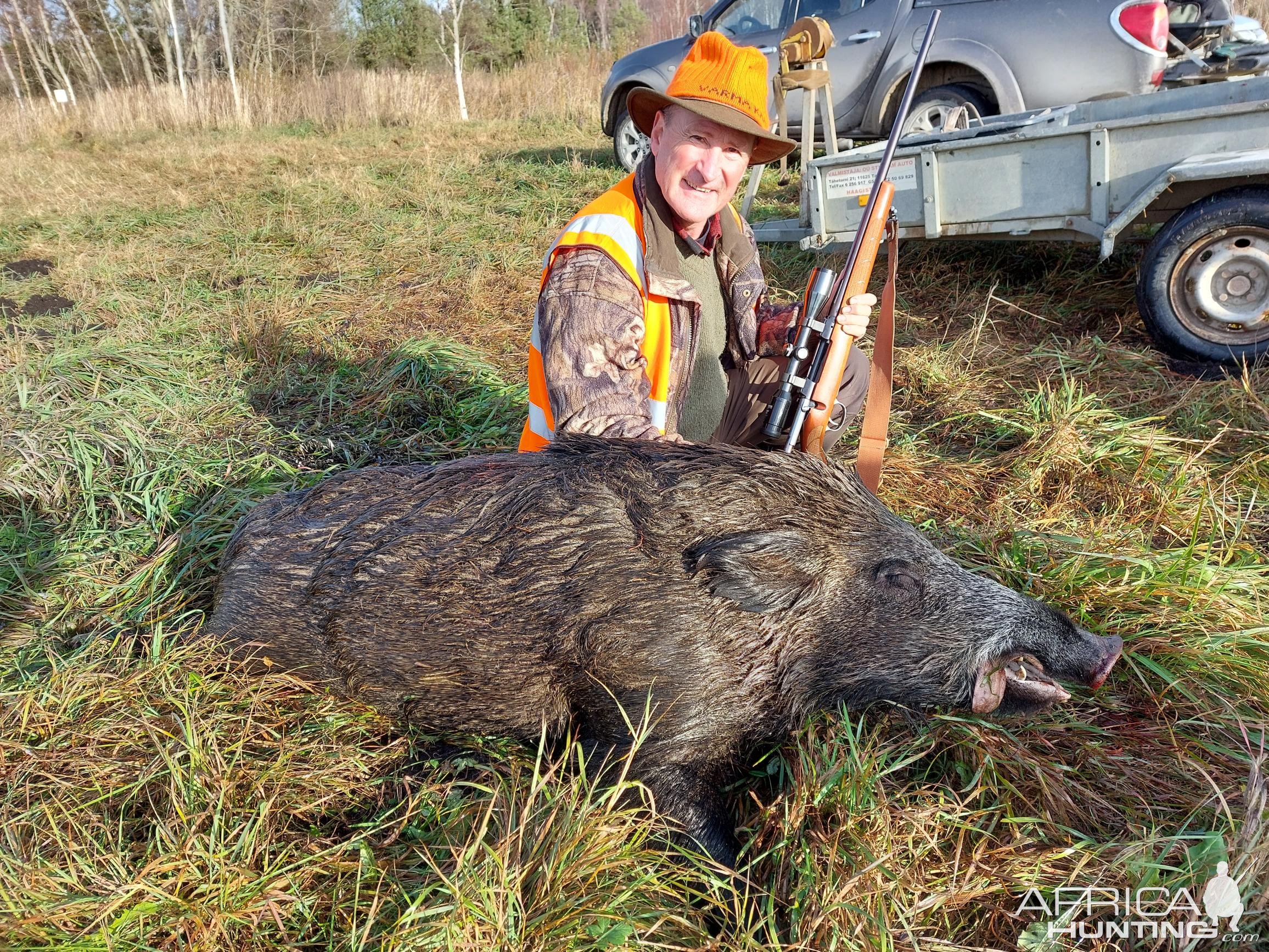 160 Kg Boar Hunt Estonia