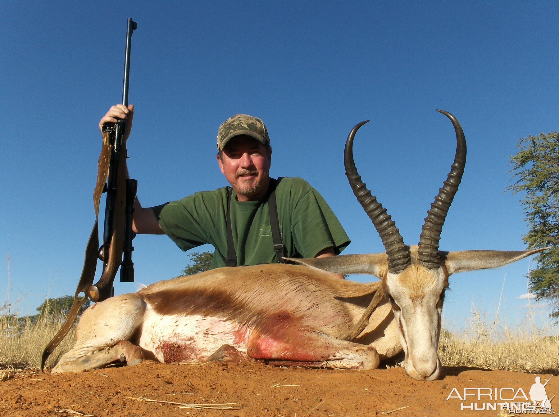 17'' kalahari springbok