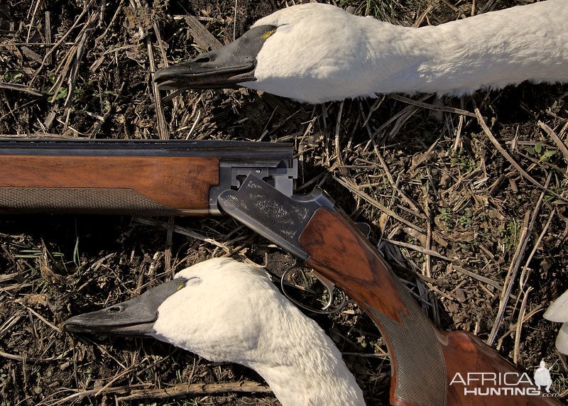 1980 Browning Citori Over & Under Double-Barreled Shotgun