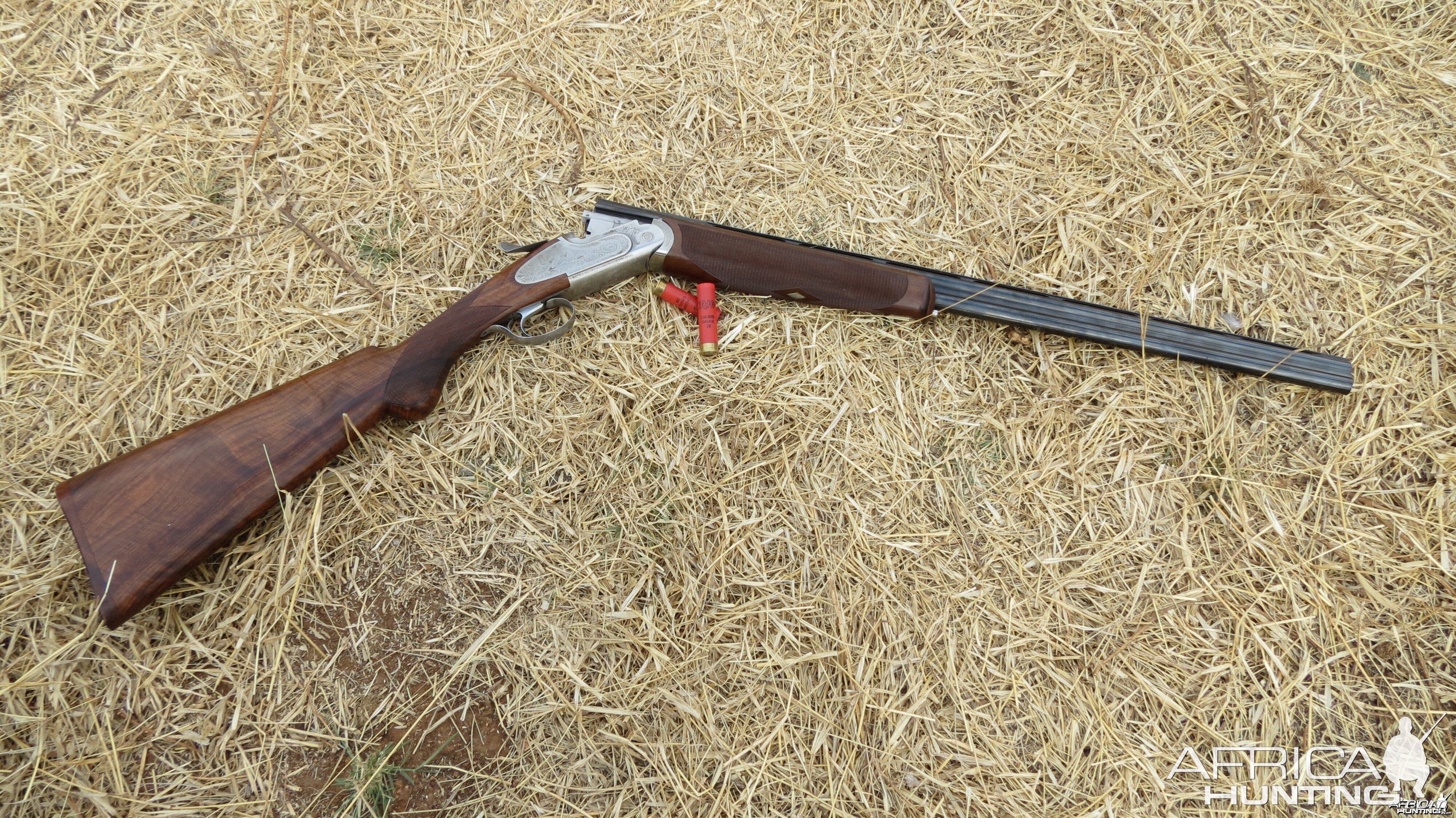 20 Gauge Namibia