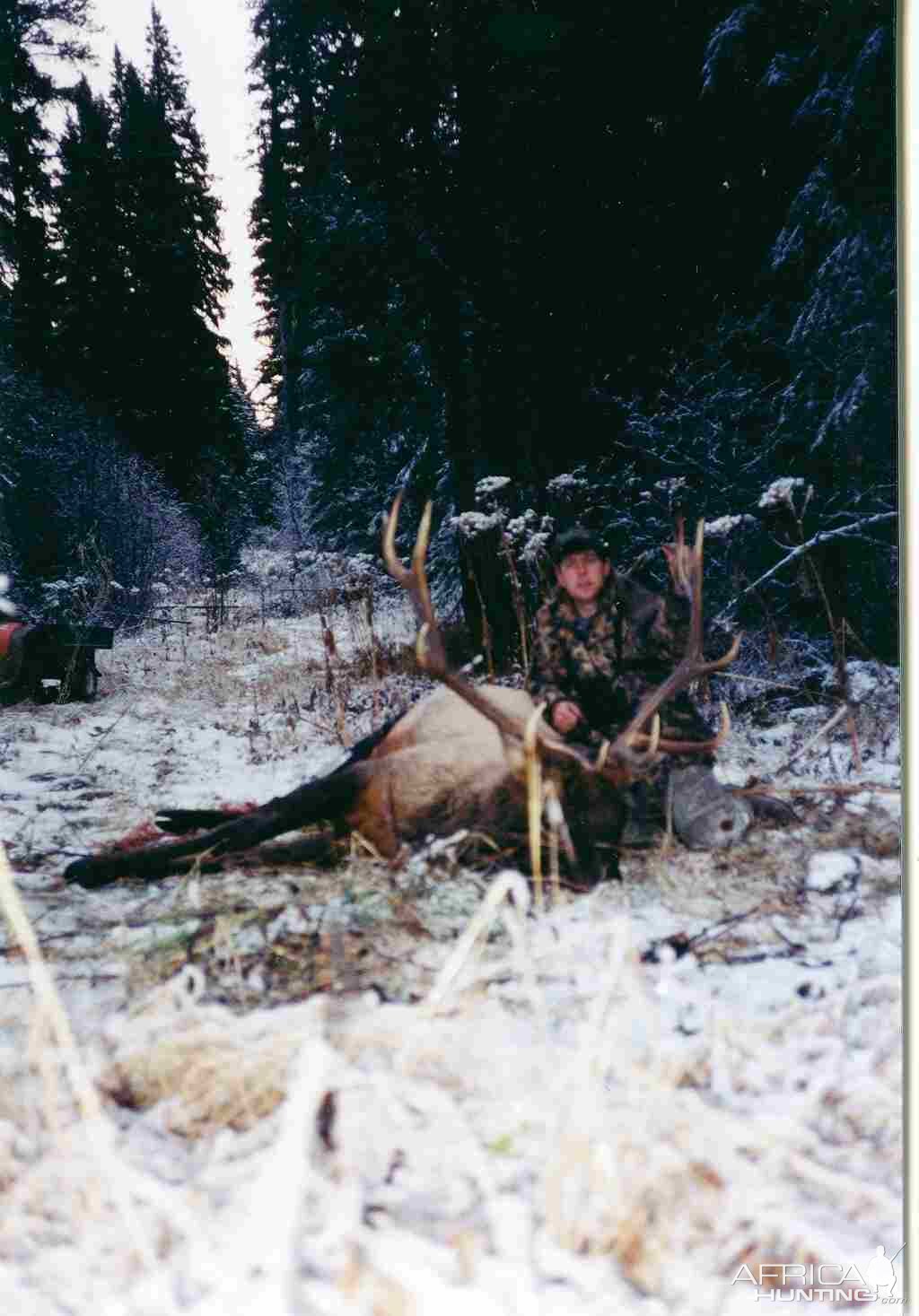 2000 Berland Elk