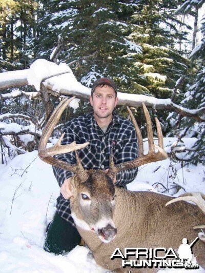 2006 Whitetail