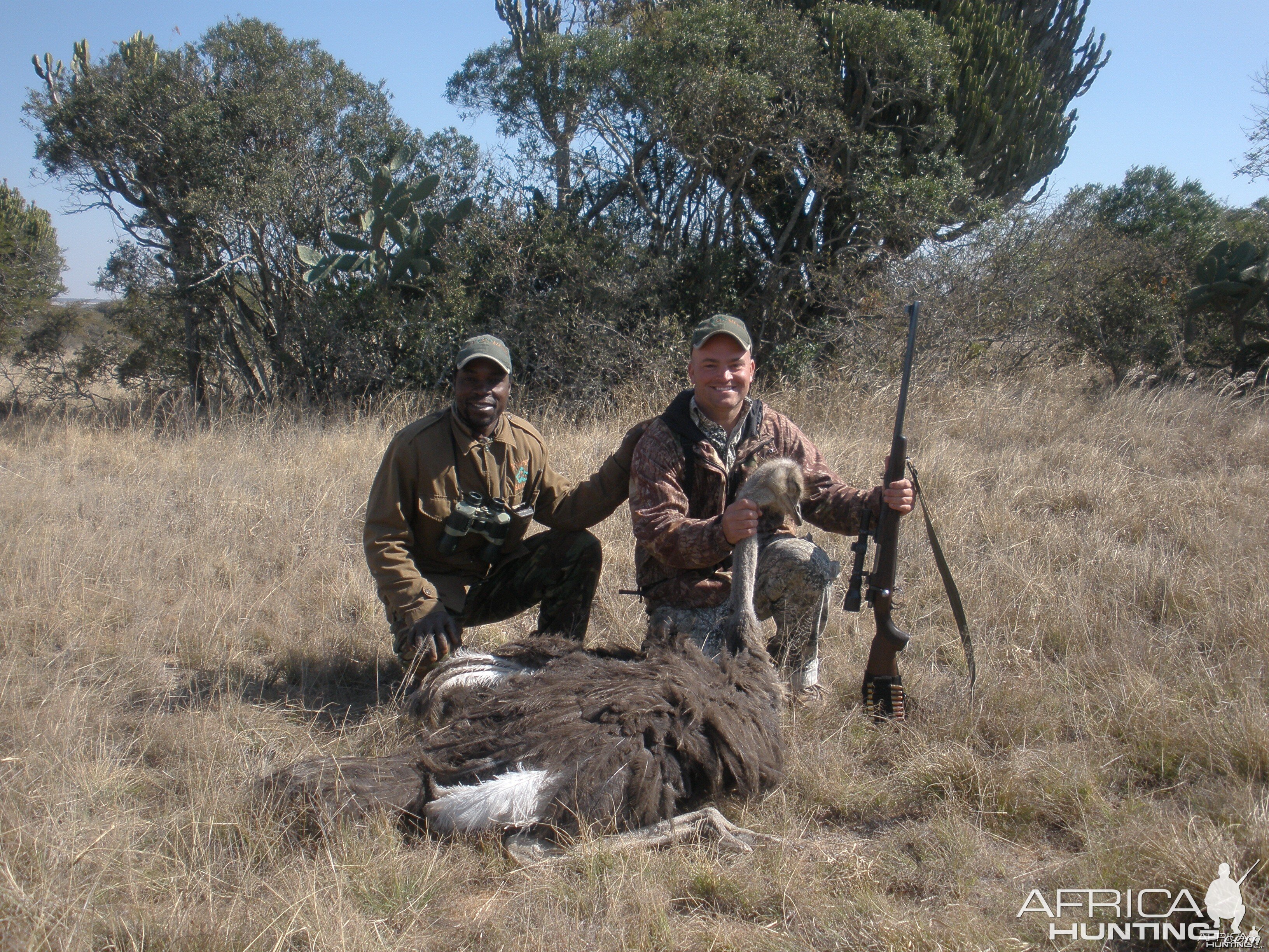 2009  Ostrich Limpopo