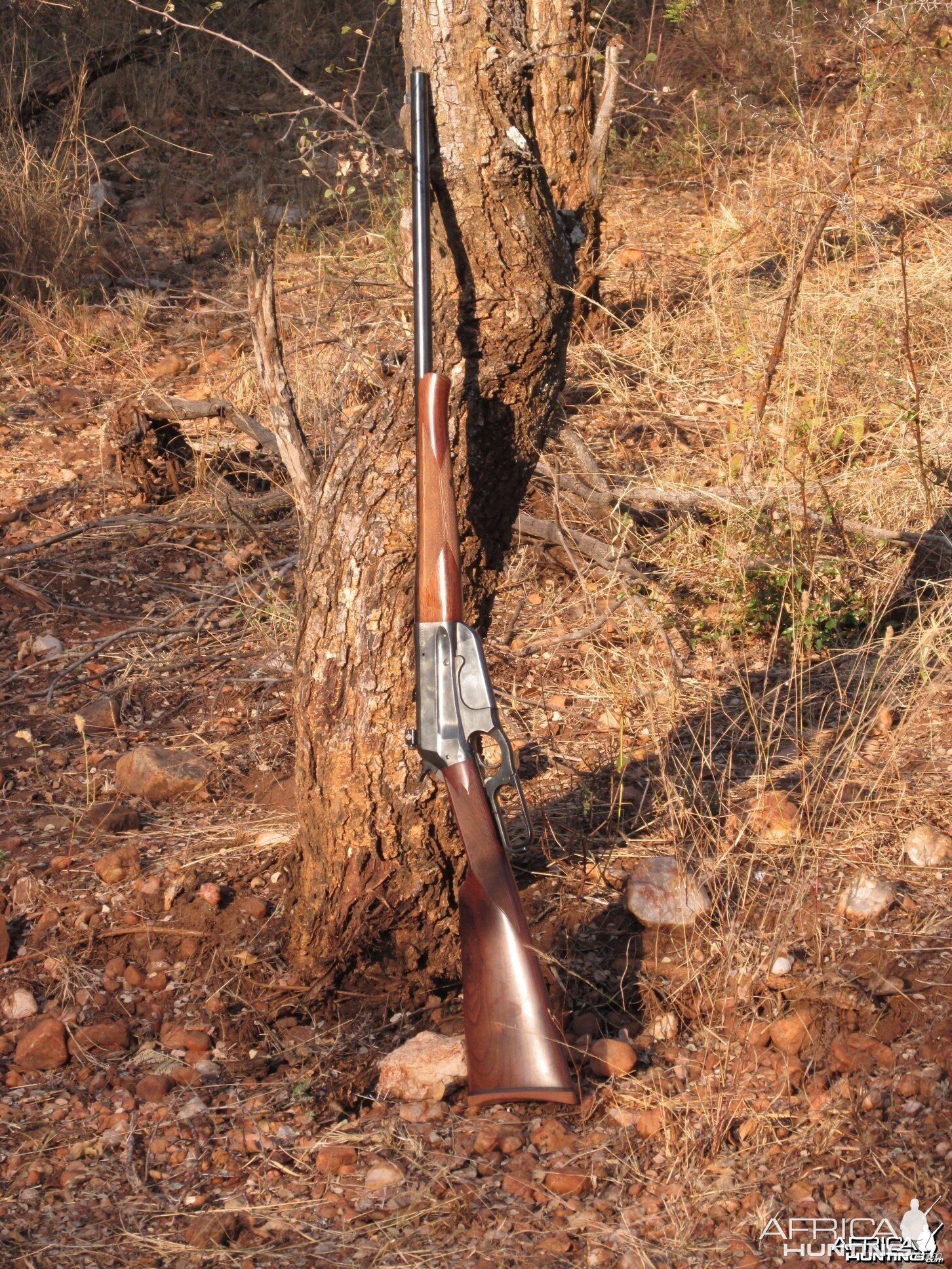 2014 SA