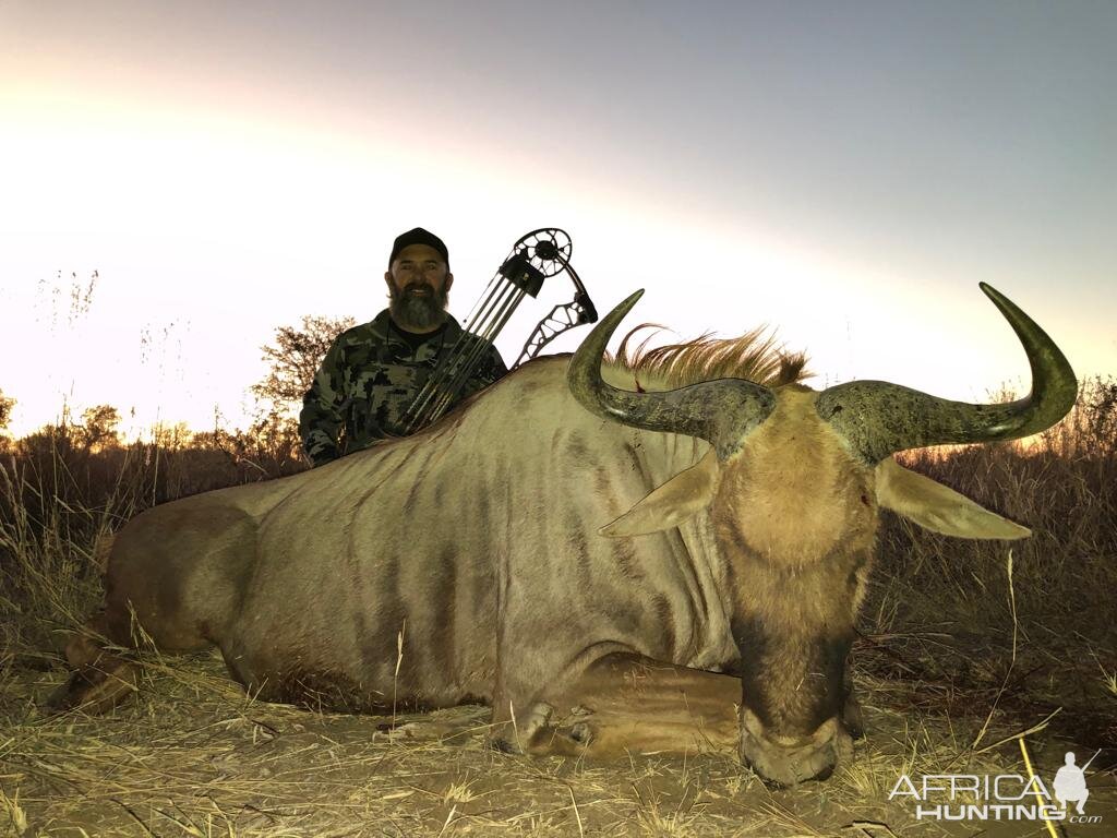 2019 Bow Hunting with Wild Wildebeest Safaris