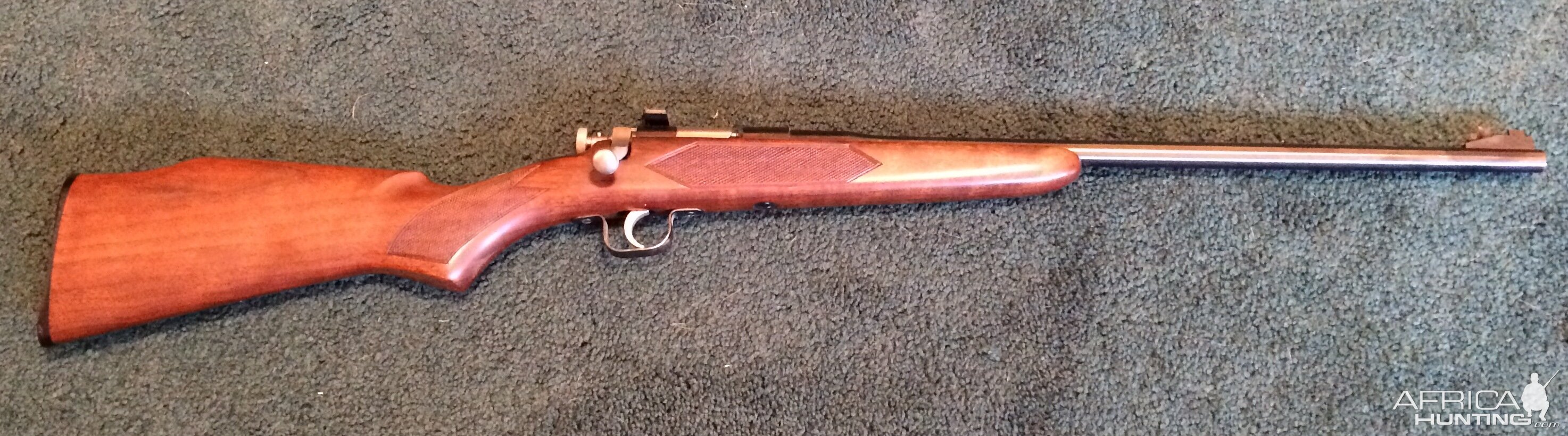 .22 lr. Chipmunk kid rifle