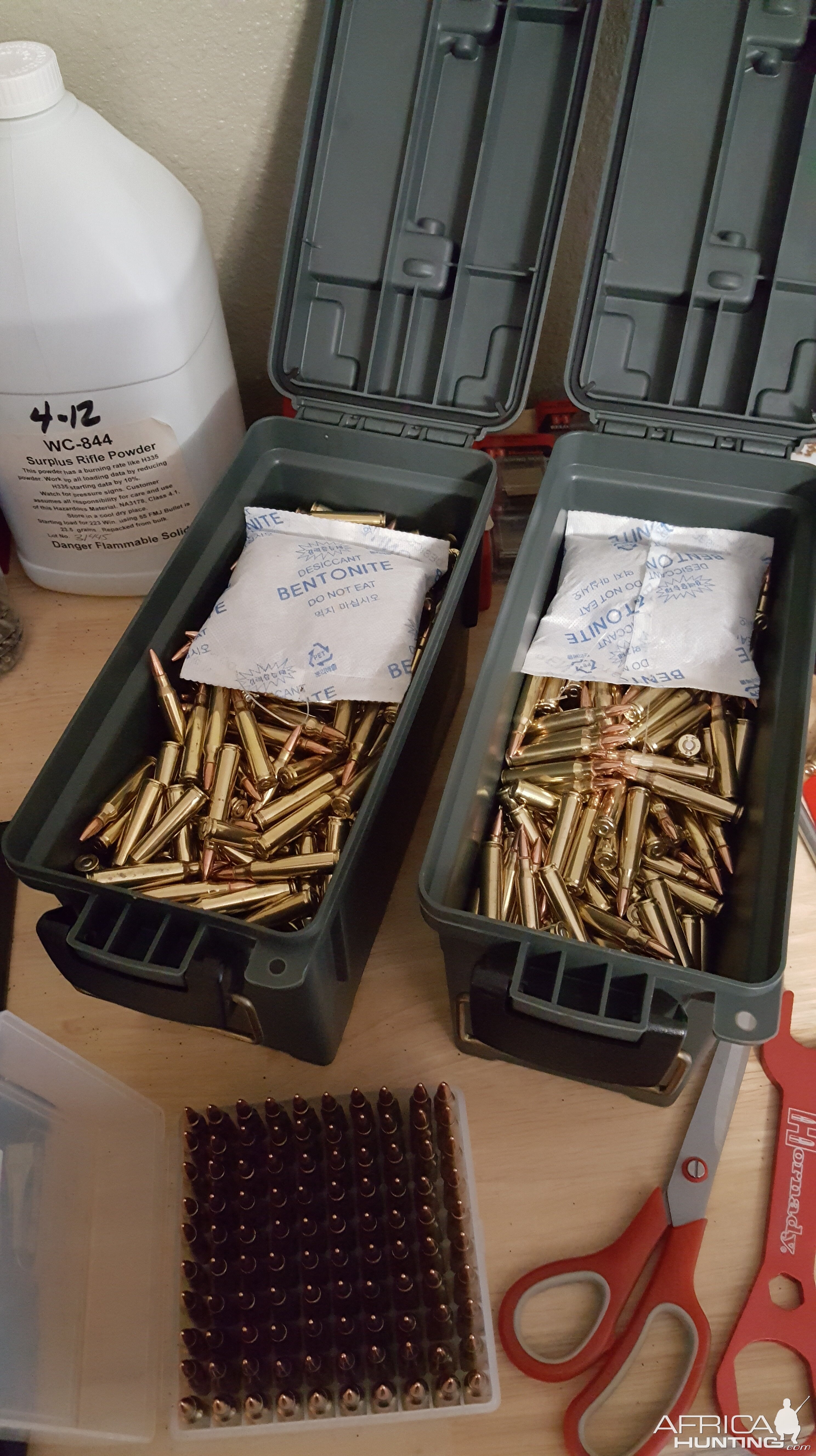 .223 Ammo