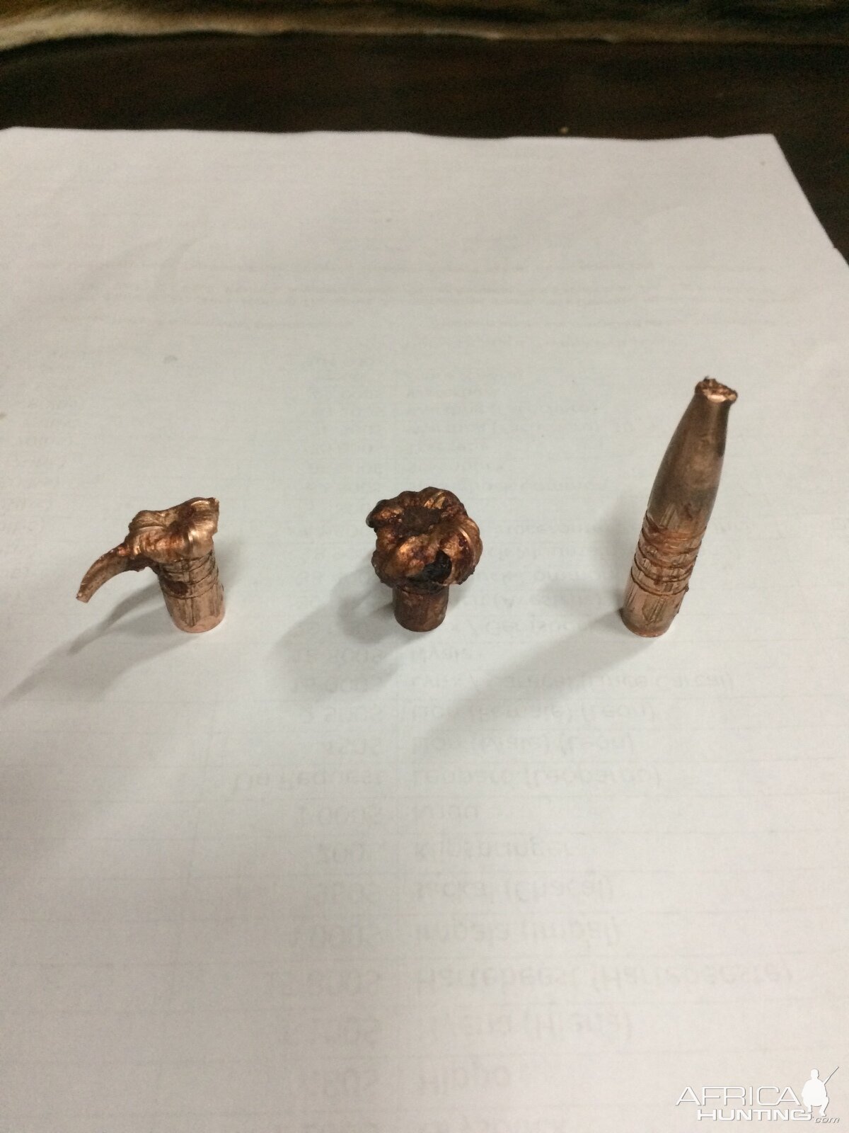 Hornady Cx Vs Barnes Ttsx:  Accuracy, Penetration, And Expansion Compared - rd4jczv