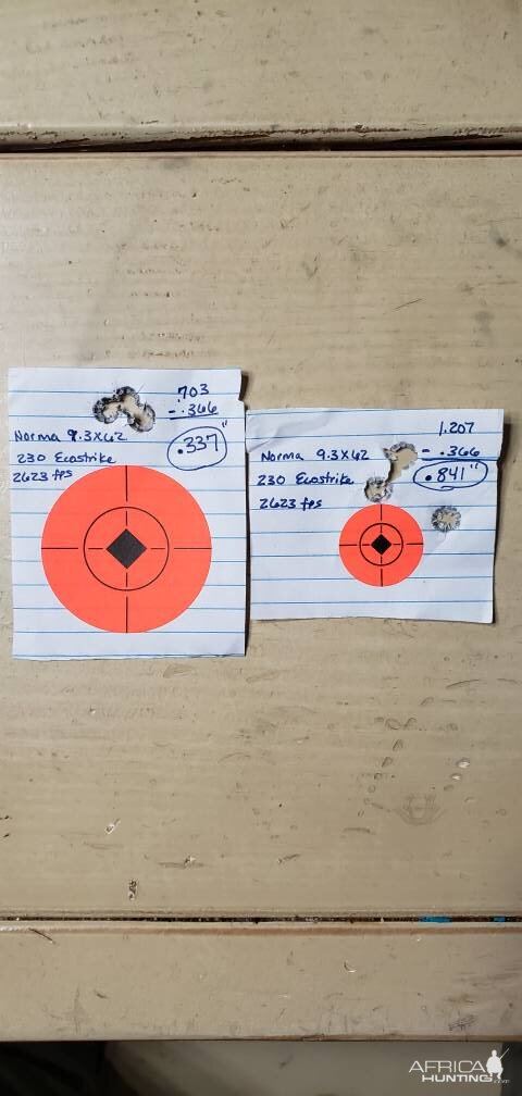 230 grain Norma Ecostrike Range Shots