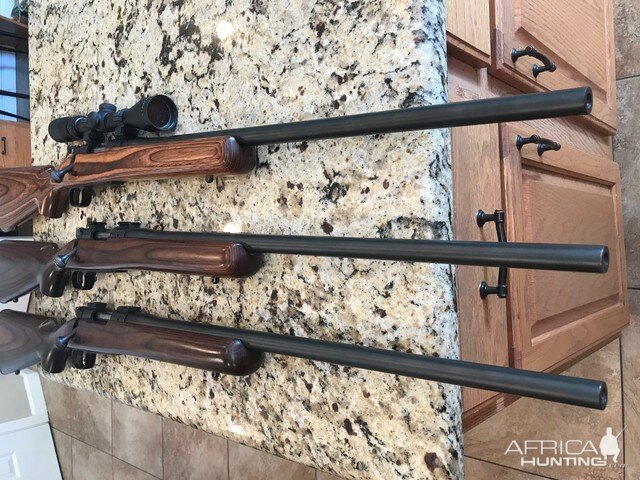 25, 243 & 223 WSSM Winchester Model 70 Coyote Rifles