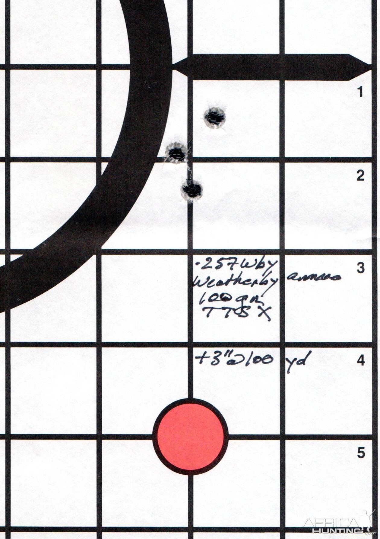 257 Wby 100 gr Barnes TTSX group