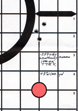 .257 Wby Range Shots