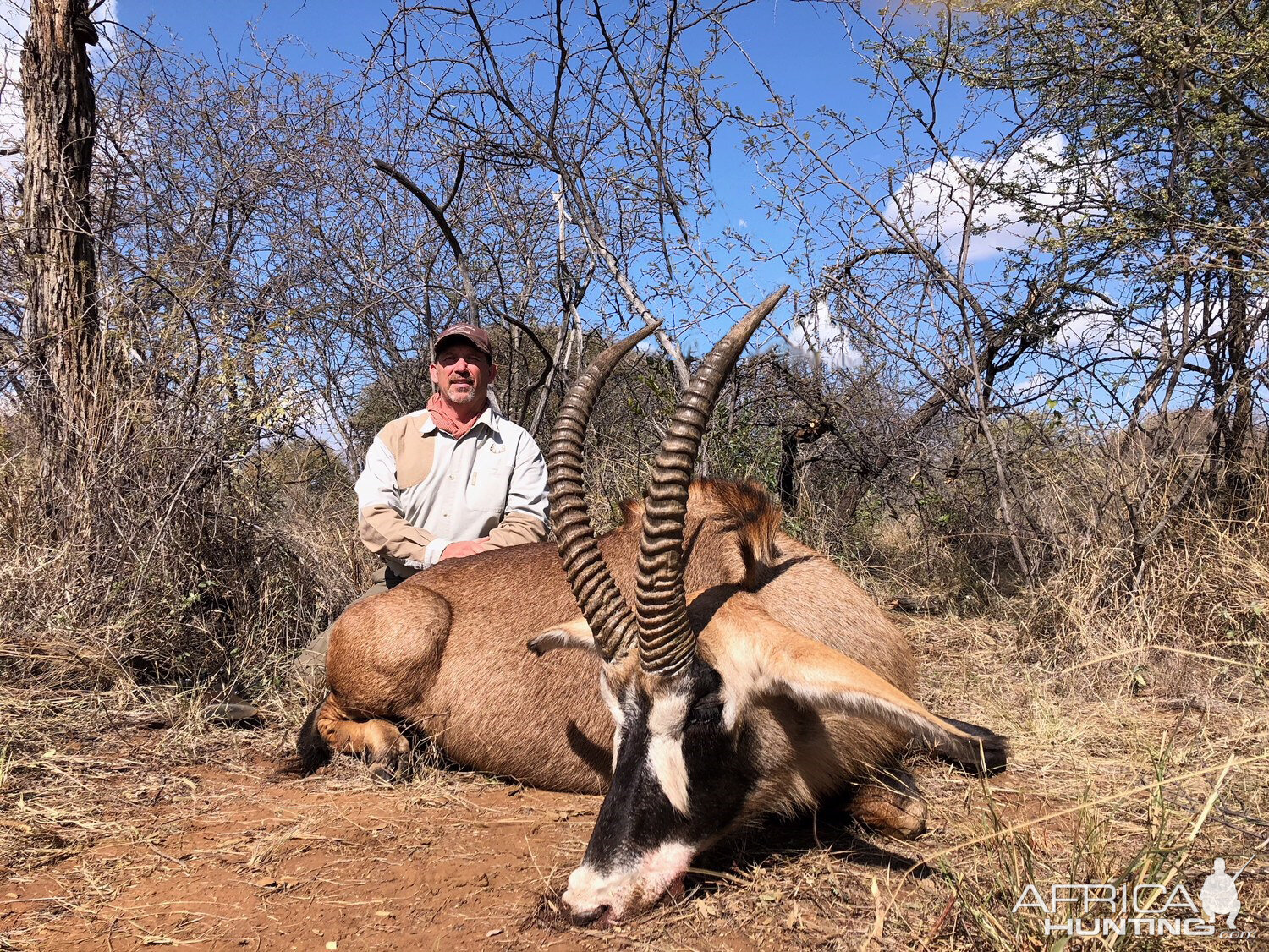 26 ¼” Inch Roan Hunt South Africa