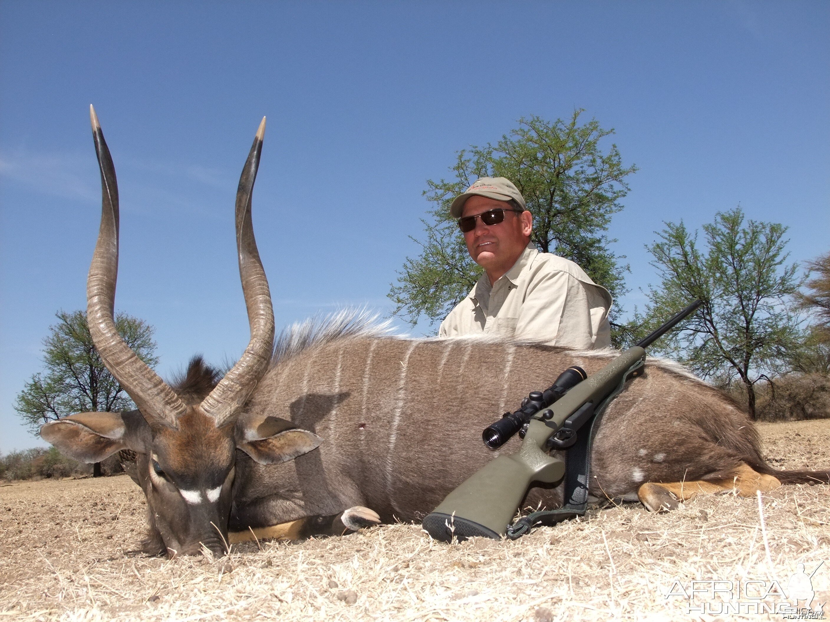 27" Nyala