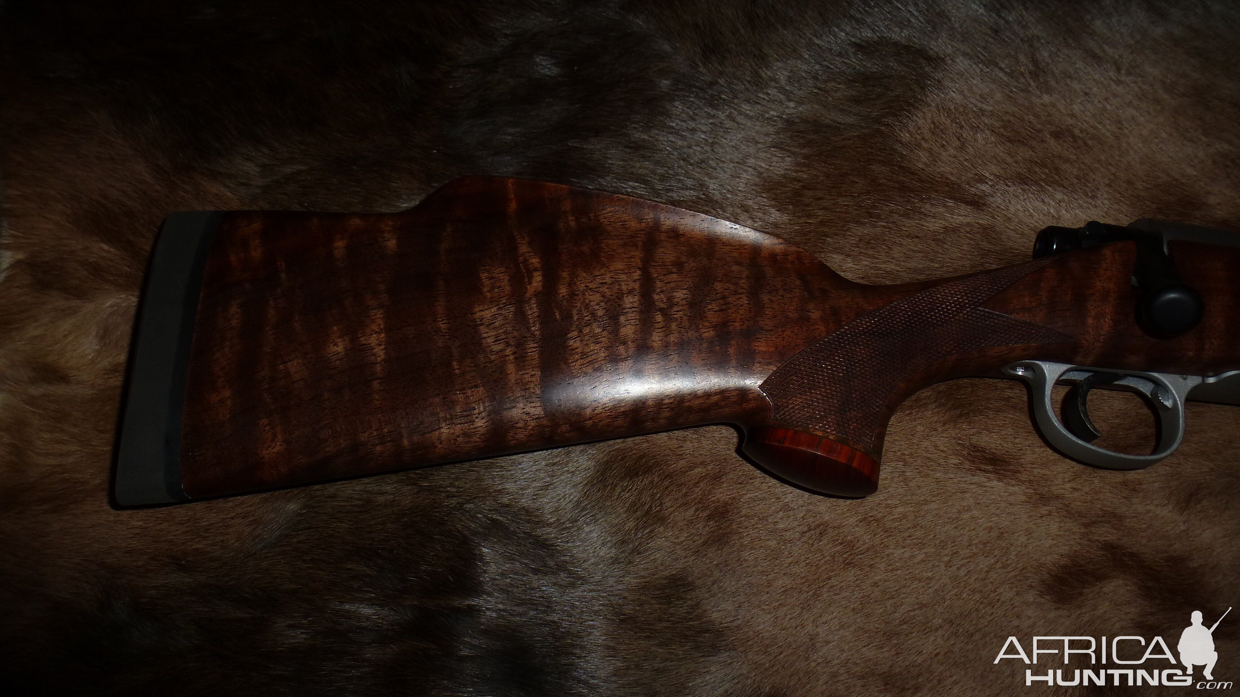 .270 Rifle with the Rosewood