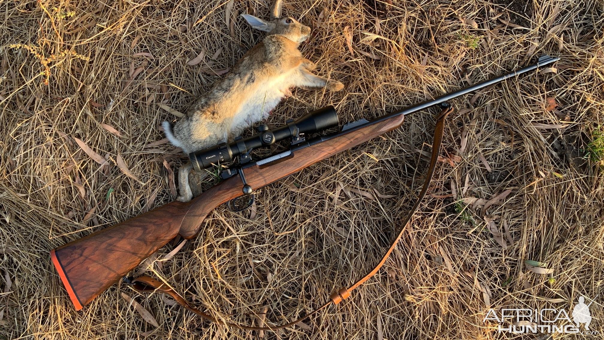 .275 Rigby Rifle