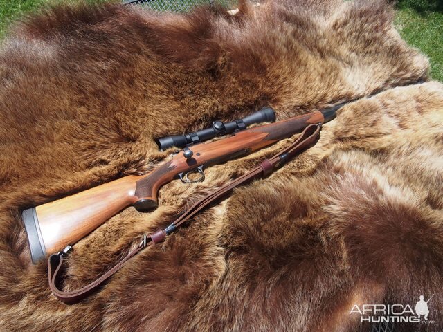 30-06 Hunting Rifle on a tanned hide of a Arctic Grizzly