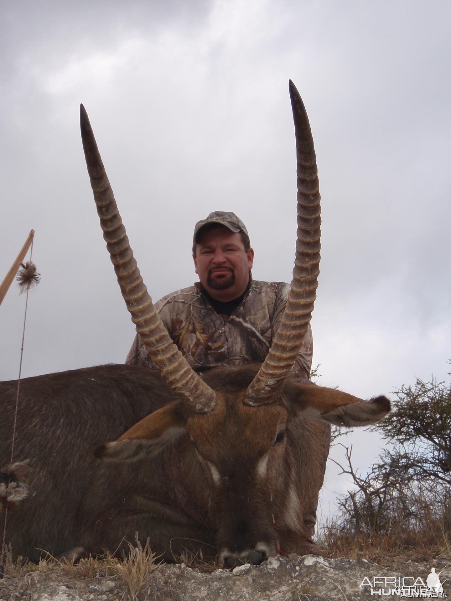 30" Waterbuck