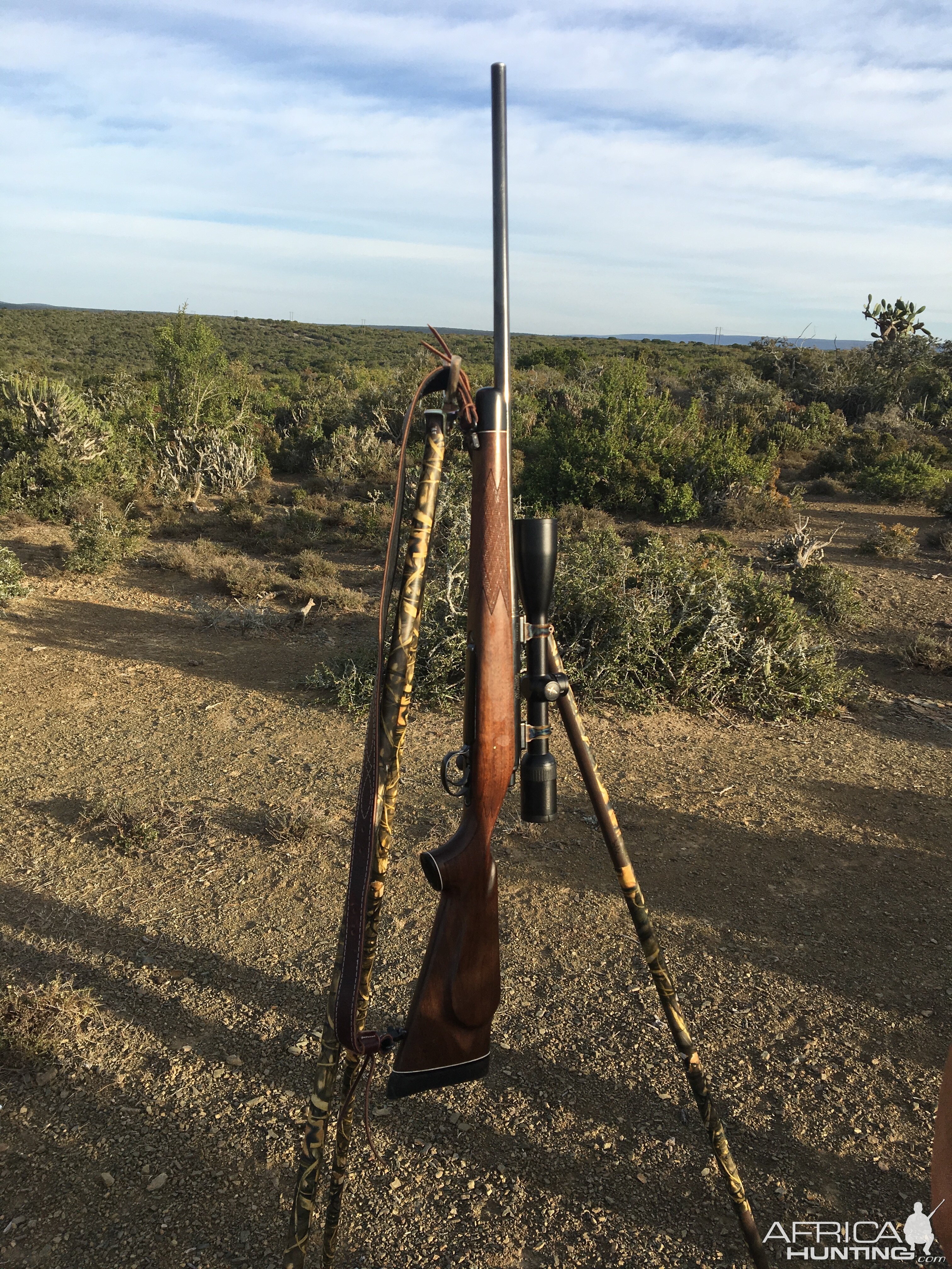 .300 win mag Remington 700 Rifle & Shooting Stick