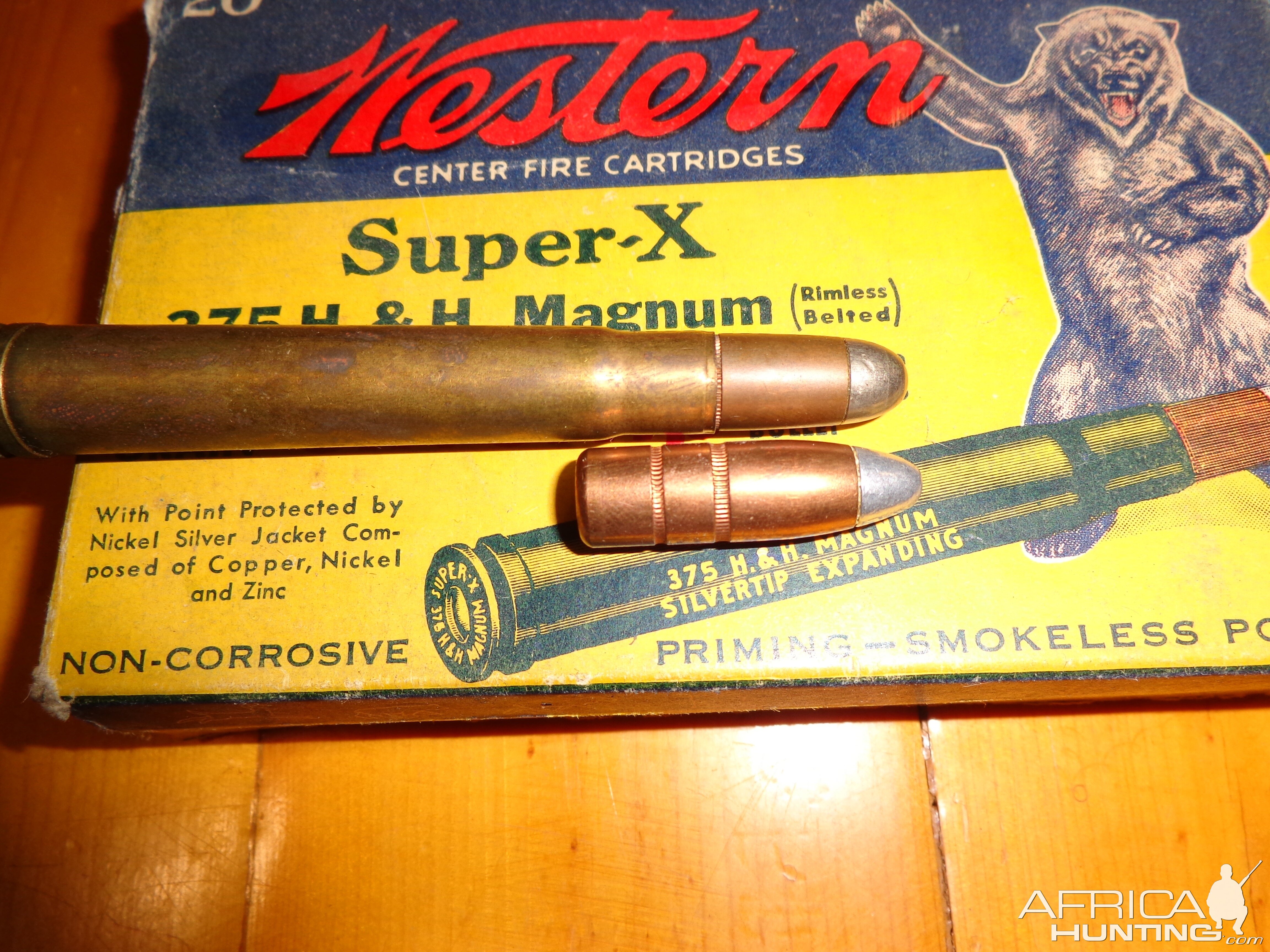 300gr .375 Silvertip