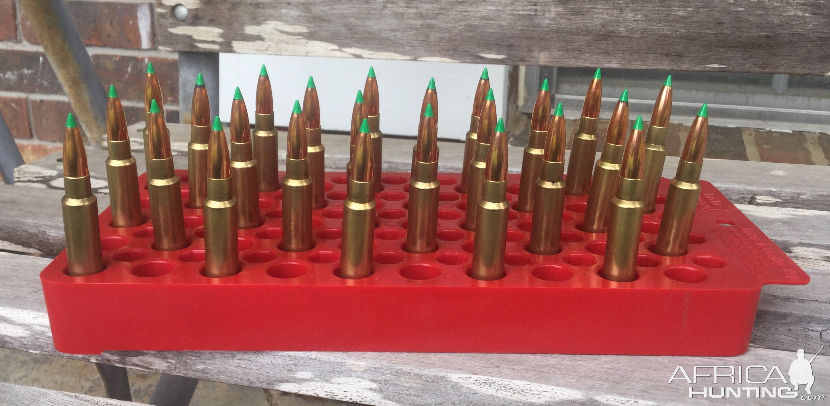 .309 JDJ handloads