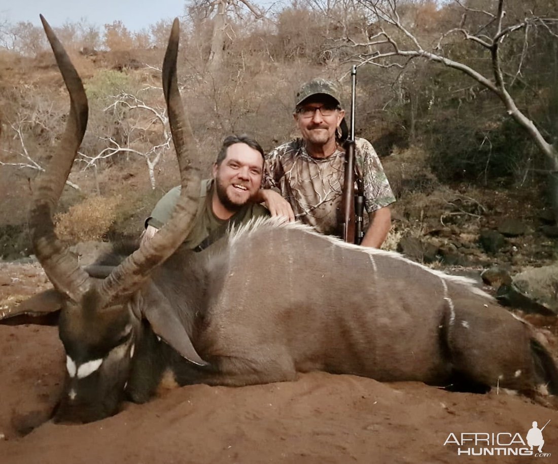 31 Inch Nyala Hunt Makuya Game Park Greater Kruger South Africa