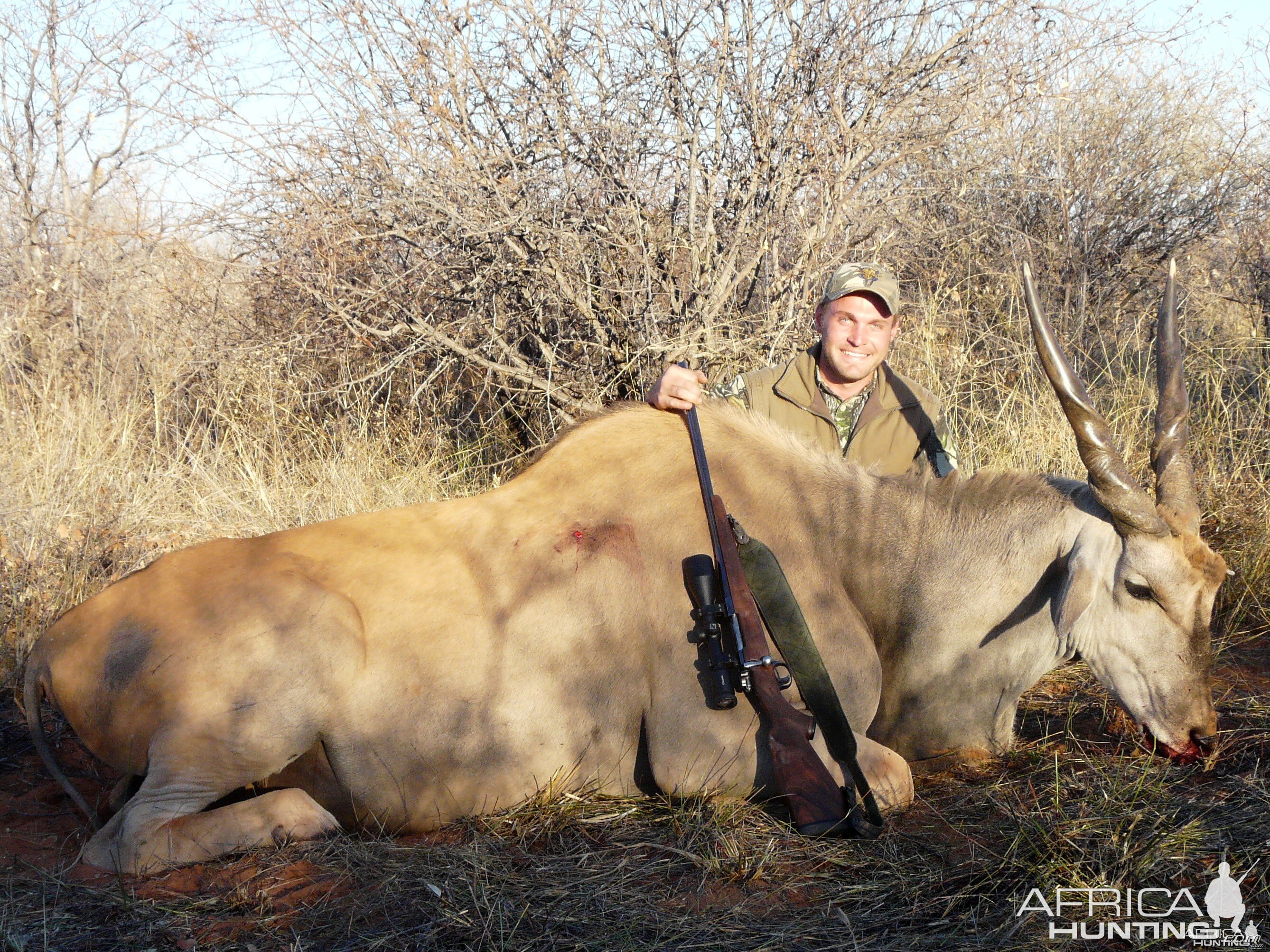 32" Cape Eland taken near Grootfontein, Namibia