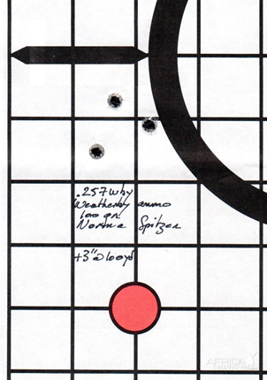 .340 Wby Range Shots